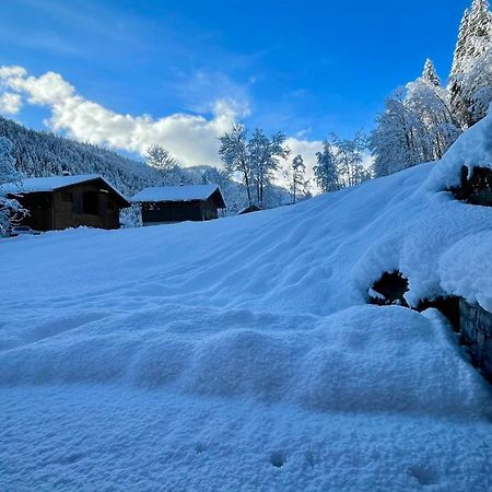 Chalet Birdie Le Grand-Bornand Ngoại thất bức ảnh