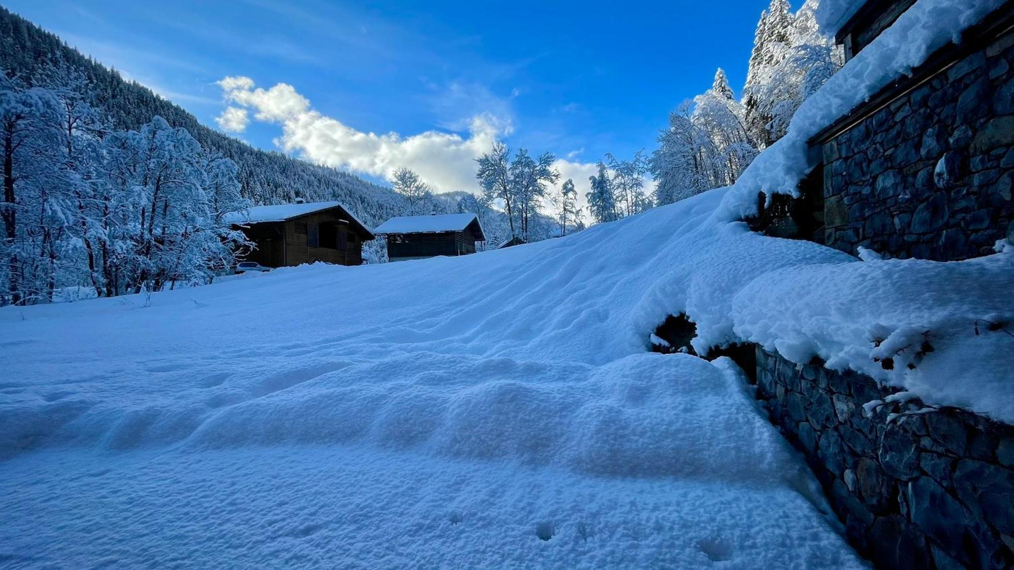Chalet Birdie Le Grand-Bornand Ngoại thất bức ảnh